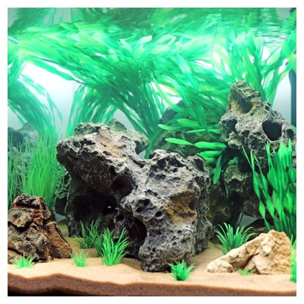 HB40148 sklep akwarystyczny / terrarystyczny