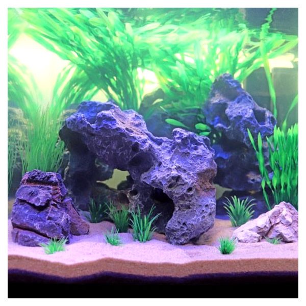 Akwarium / terrarium / Animals