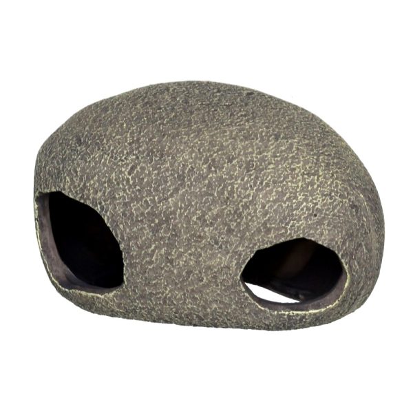 5 cm (40198) sklep akwarystyczny śląsk