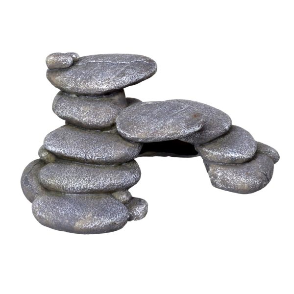 5 cm (41740) sklep akwarystyczny śląsk