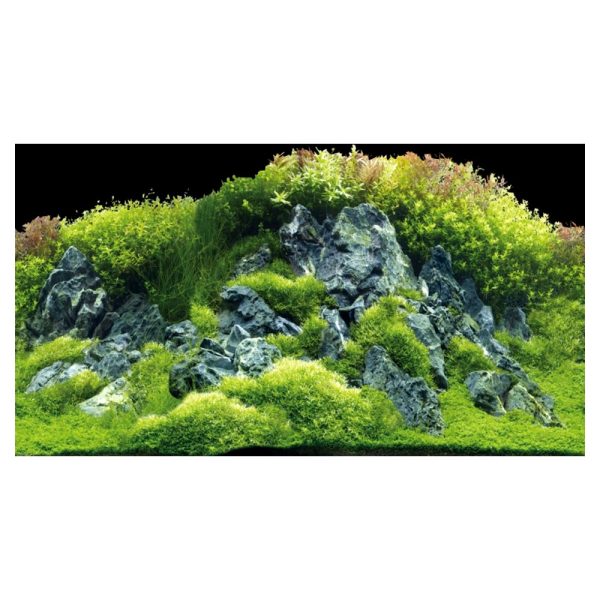 HOBBY Tło do akwarium Planted River/Green Rocks 120x50 (31045) sklep premium dla akwarystów