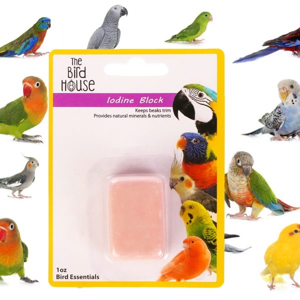 KOM IODINE BLOCK MALA 21081 sklep akwarystyczny / terrarystyczny