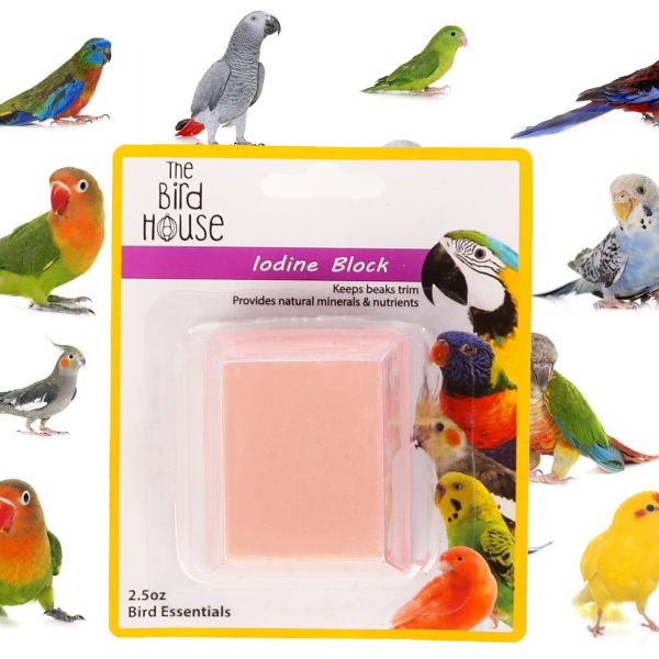 KOM IODINE BLOCK DUZA 21082 sklep akwarystyczny / terrarystyczny