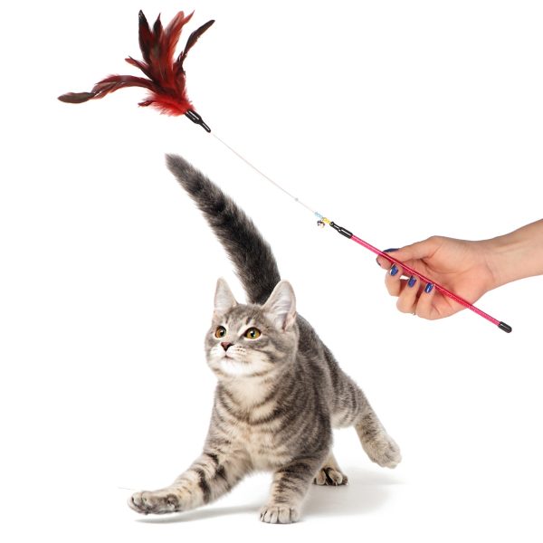 HappyPet Manhattan Cat Teaser - zabawka do wspólnej zabawy sklep premium dla akwarystów