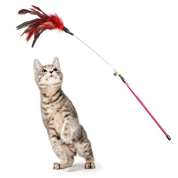 HappyPet Manhattan Cat Teaser - zabawka do wspólnej zabawy sklep akwarystyczny śląsk