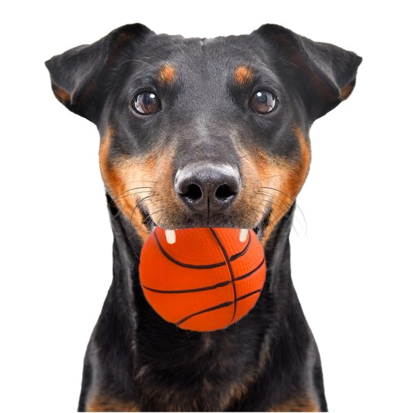 HappyPet Sports Balls - sprężysta piłka sklep akwarystyczny śląsk