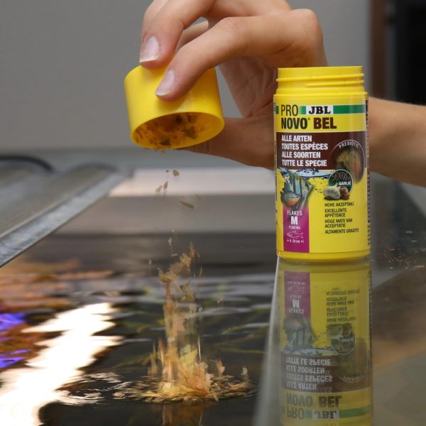 JBL Pronovo Bel Flakes M 100ml - podstawowy pokarm dla ryb sklep premium dla akwarystów