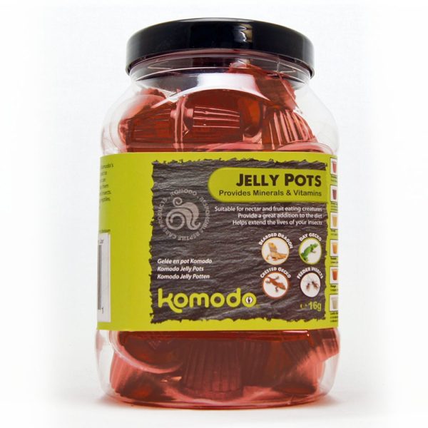 Komodo Jelly Pot Brown Sugar- brązowy cukier w żelu 60szt. sklep akwarystyczny śląsk