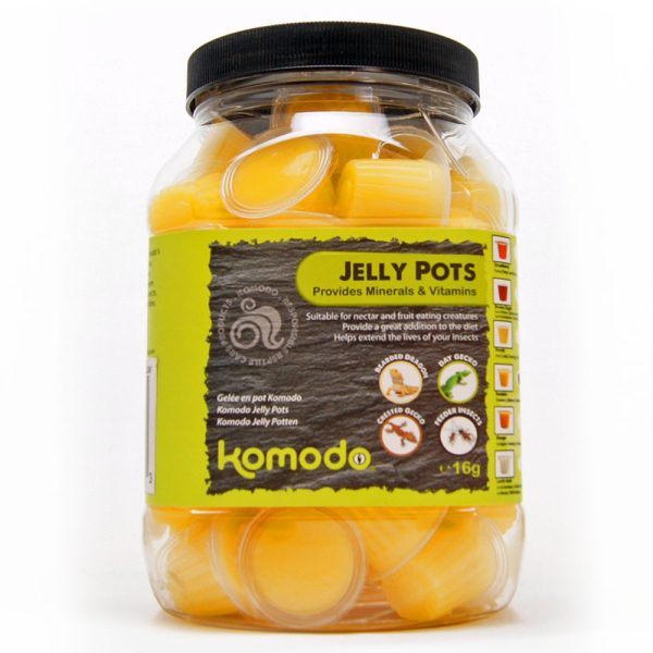 KOMODO JELLY CLASSIC SZTUK