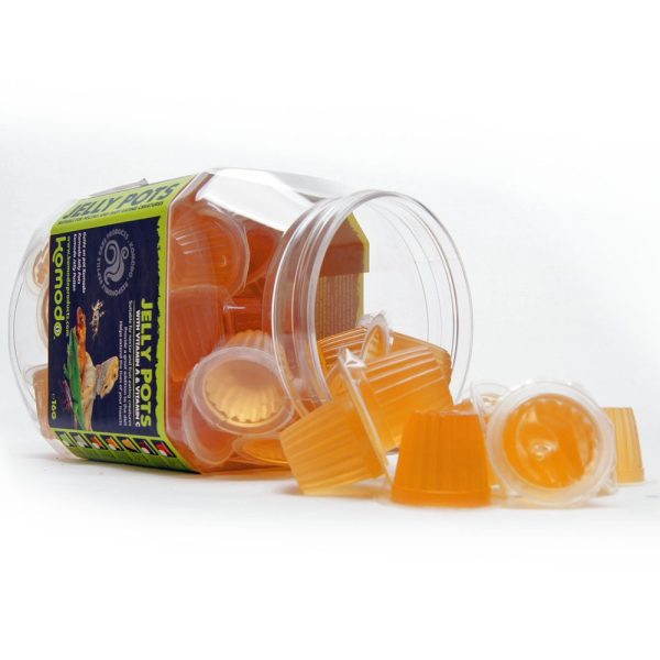 Kom Jelly Honey sztuka