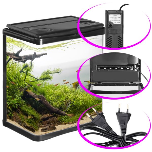 Akwarium / terrarium / Animals