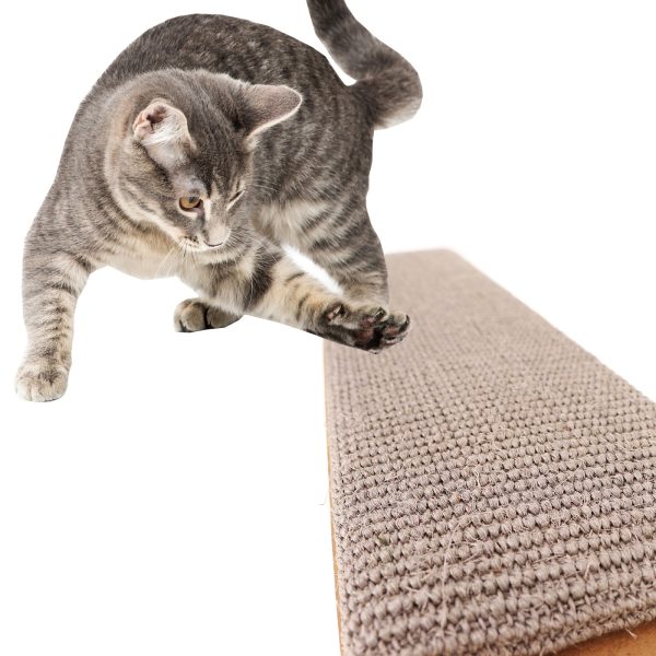 Lupipets Scratching Board De Luxe - drapak dla kota z kocimiętką sklep premium dla akwarystów