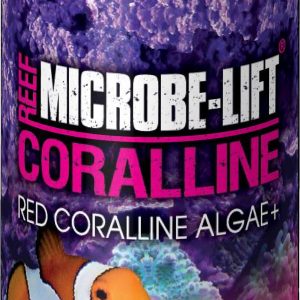 MICROBE-LIFT CORALLINE ALGAE 236ML sklep akwarystyczny śląsk