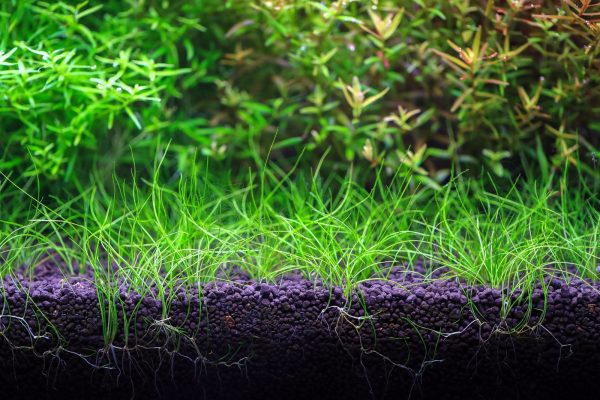 Neo Soil Shrimp 3l sklep akwarystyczny / terrarystyczny