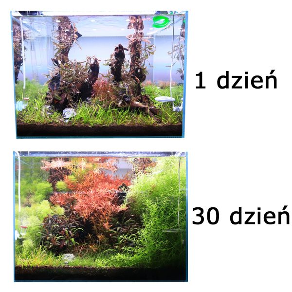 Neo Soil Shrimp 3l