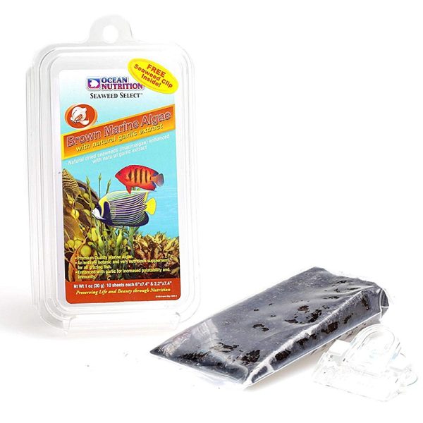 Ocean Nutrition Seaweed Brown 30g + Clip - algi z czosnkiem i klipsem sklep akwarystyczny śląsk