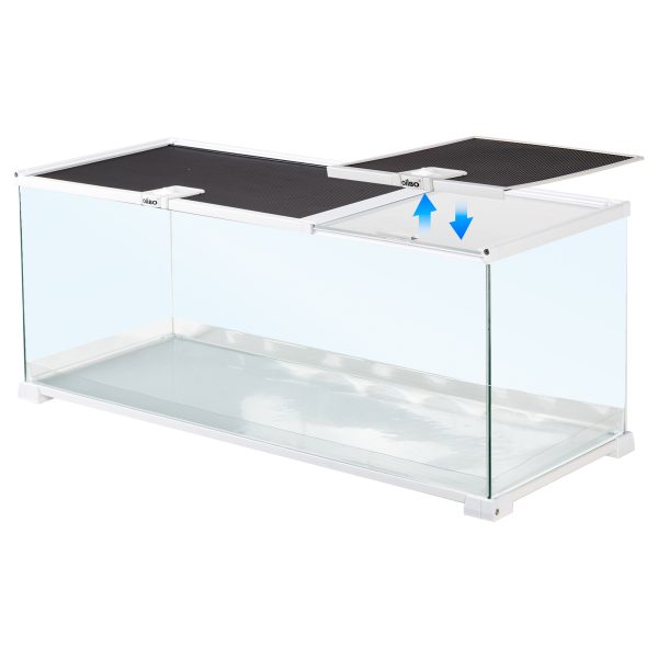 Akwarium / terrarium / Animals