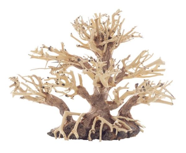 PROGROW BONSAI TREE BT1S 20X10X15CM sklep akwarystyczny śląsk