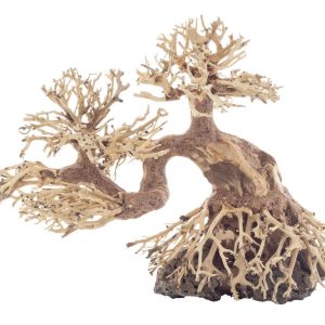 PROGROW BONSAI TREE BT8L 30X13X23CM sklep akwarystyczny śląsk
