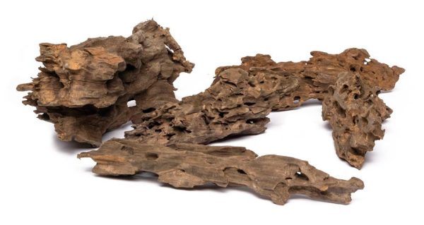 PROGROW DRAGON WOOD 1KG sklep akwarystyczny śląsk