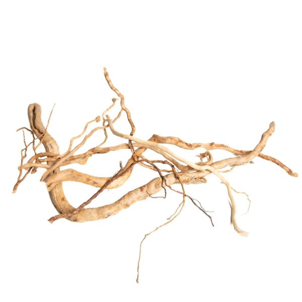PROGROW SINGLE BRANCH 10-60CM 1KG sklep akwarystyczny śląsk