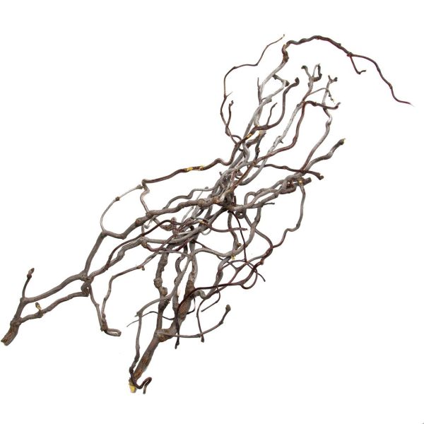 PROGROW WILLOW WOOD 1KG sklep akwarystyczny śląsk