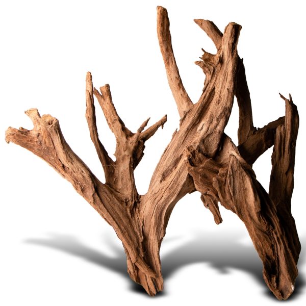 Philippines Classic Driftwood - drzewo mangrowca z wody L 30cm - 40cm sklep premium dla akwarystów