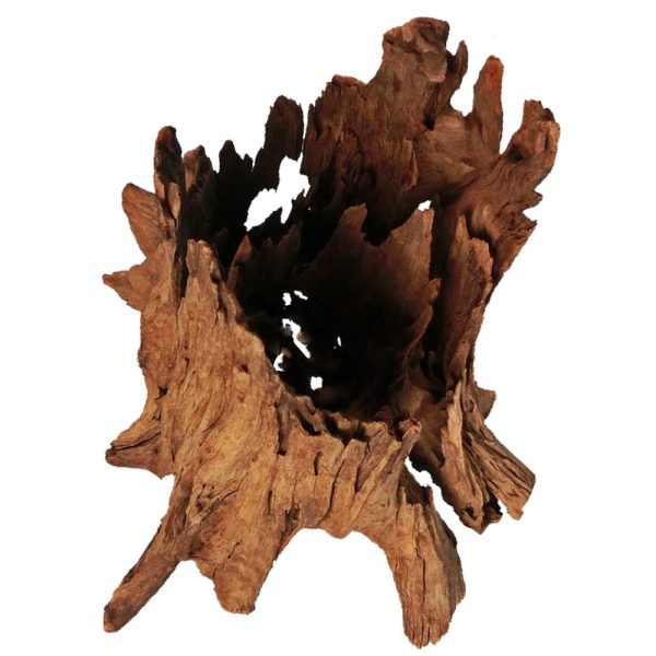 Philippines Classic Driftwood - drzewo mangrowca z wody L 30cm - 40cm sklep akwarystyczny śląsk