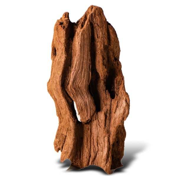 Philippines Classic Driftwood - drzewo mangrowca z wody XS ok.16cm sklep premium dla akwarystów