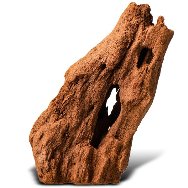 Philippines Classic Driftwood - drzewo mangrowca z wody XS ok.16cm sklep akwarystyczny śląsk