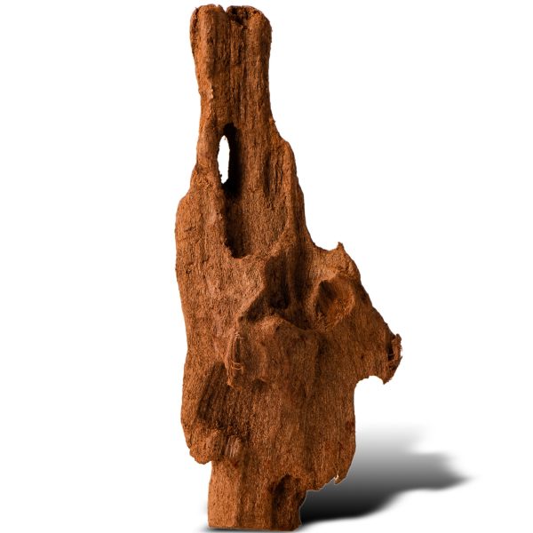 Philippines Classic Driftwood - drzewo mangrowca z wody XXS ok.10cm sklep premium dla akwarystów