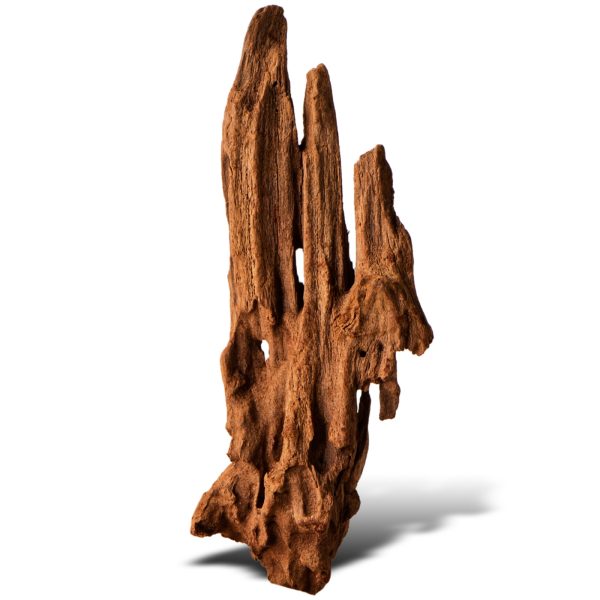 Philippines Classic Driftwood - drzewo mangrowca z wody XXS ok.10cm sklep akwarystyczny śląsk