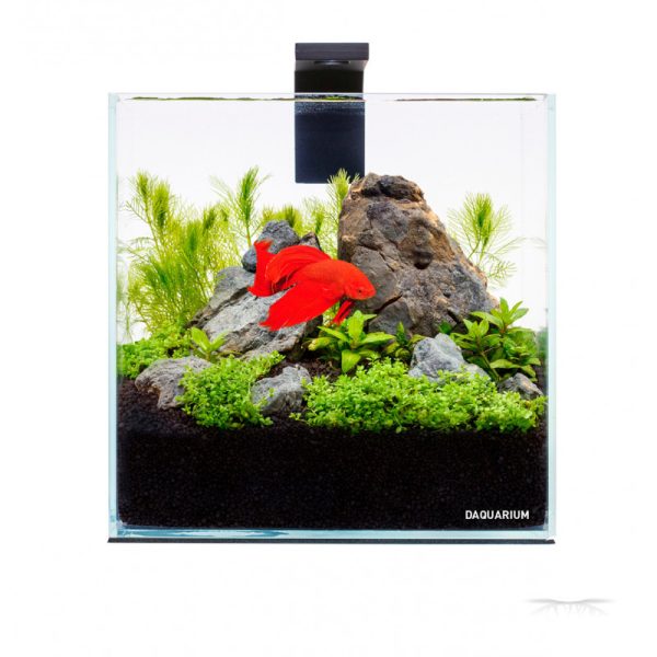 Pico Set 5L (7141) - Akwarium / Terrarium / Animals
