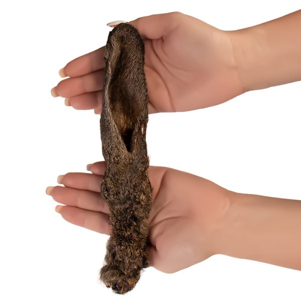 GRYZAK UCHO KROLIK 3 SZTUKI sklep akwarystyczny / terrarystyczny