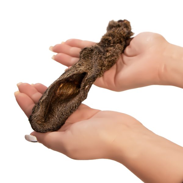 GRYZAK UCHO KROLIK 3 SZTUKI