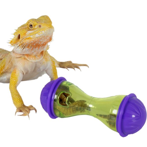 Repti-Zoo Enrichment Treat Ball - trening polowania 2 sztuki sklep premium dla akwarystów