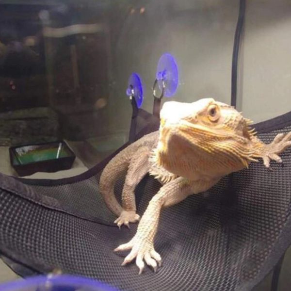 Repti-Zoo Hammock M - hamak dla gadów sklep premium dla akwarystów