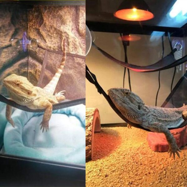 Akwarium / terrarium / Animals