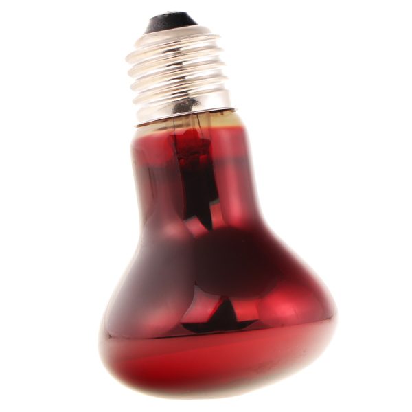 Repti-Zoo Infrared Heat 35W - żarówka grzewcza podczerwona sklep premium dla akwarystów