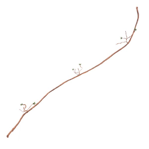 Repti-Zoo Jungle Vine - liana gięta z liśćmi 150cm sklep premium dla akwarystów