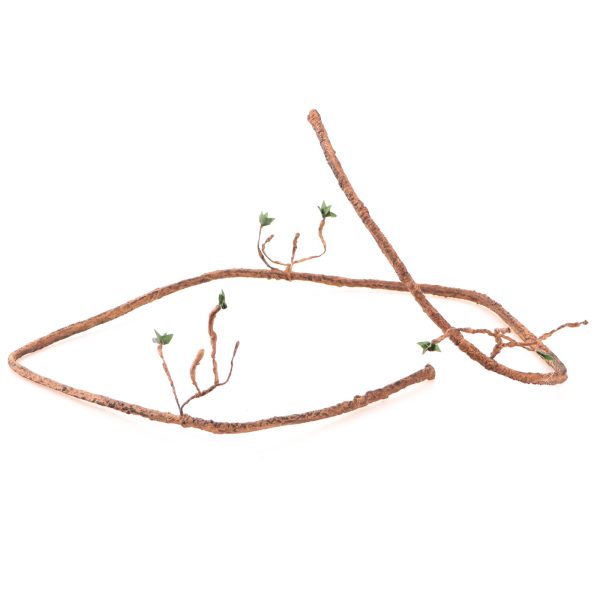 Akwarium / terrarium / Animals