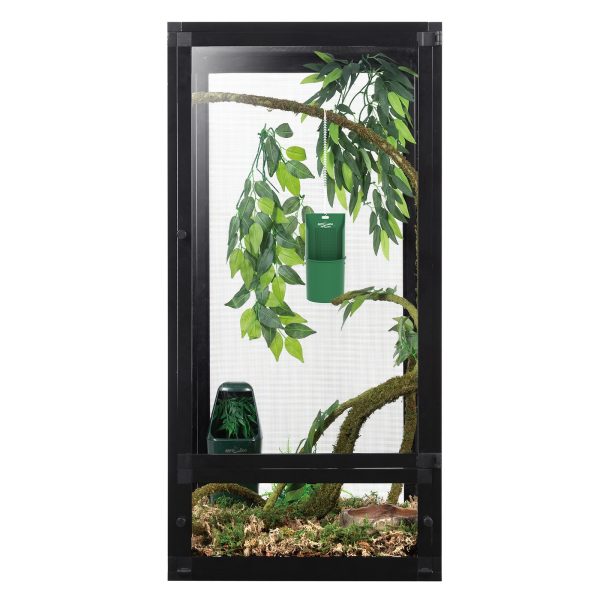 Akwarium / terrarium / Animals