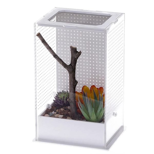 Repti-Zoo Mantis Box L - terrarium akrylowe dla modliszek sklep akwarystyczny śląsk