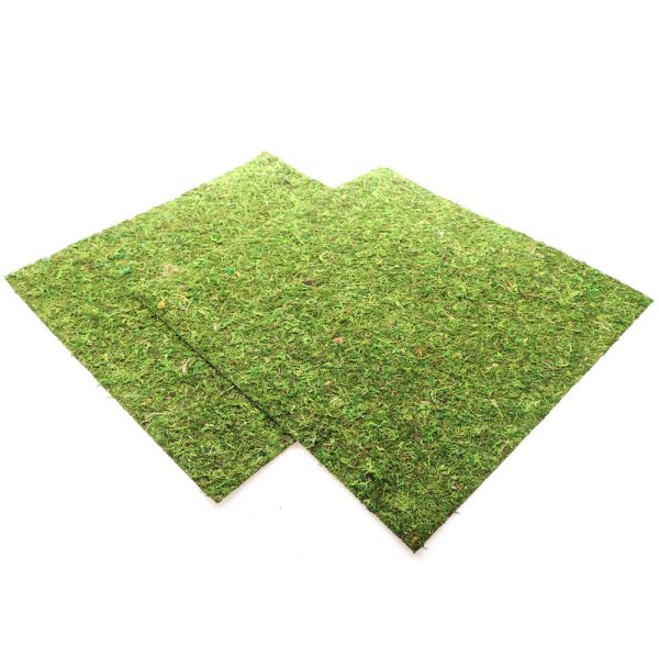 Repti-Zoo Natural Moss Back&Bottom - tło i podłoże z mchu 45x45cm sklep premium dla akwarystów