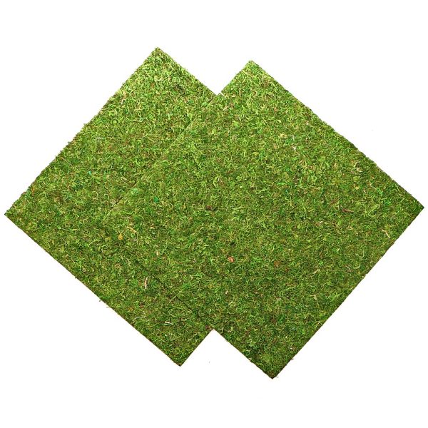 RZ MOSS BACKGROUND NCM4545 sklep akwarystyczny / terrarystyczny
