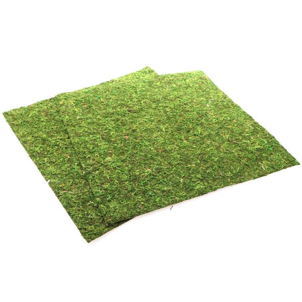 RZ MOSS BACKGROUND NCM4545