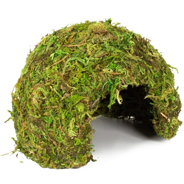 Repti-Zoo Natural Mossy Dome S  - kryjówka z mchu sklep premium dla akwarystów