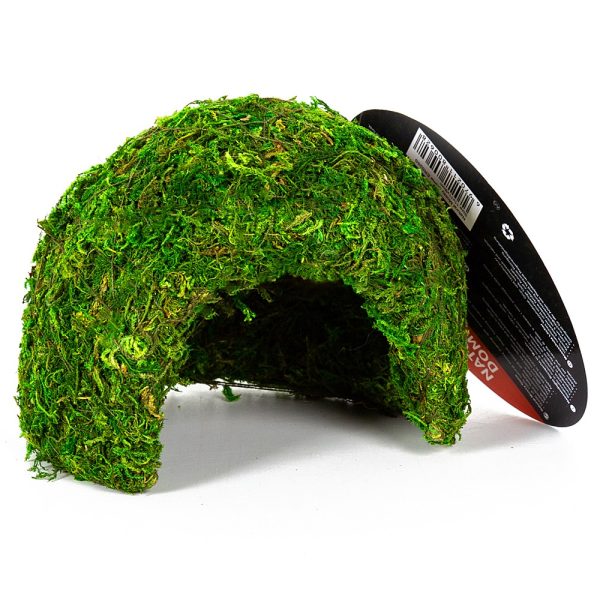 Akwarium / terrarium / Animals