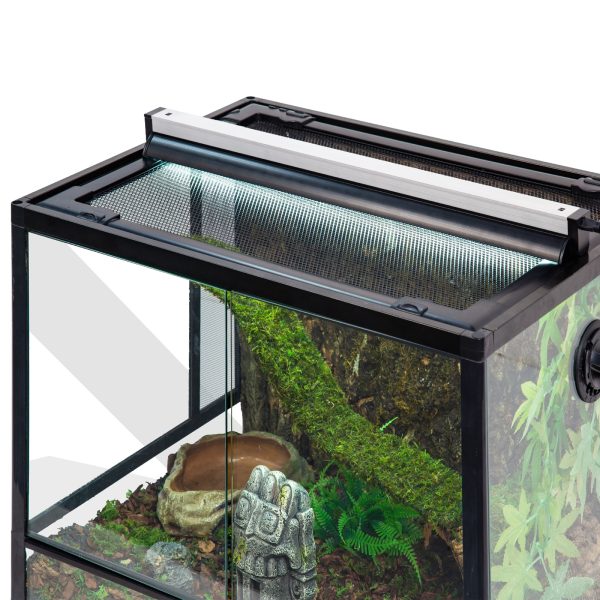 Akwarium / terrarium / Animals