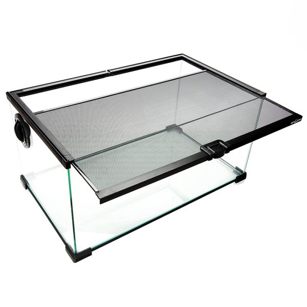 Akwarium / terrarium / Animals